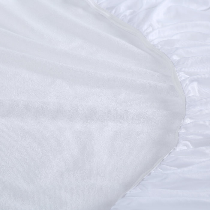 Alwyn Home DefendABed Hypoallergenic and Waterproof Fitted Mattress